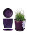 Kadax Plastic Flower Pot Saucer 16cm Purple
