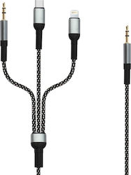 LinQ USB to Lightning / Type-C Cable 1.5m AV9034 LinQ USB to Lightning / Type-C Cable 1.5m AV9034
