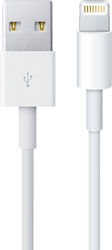 Avizar USB-A zu Lightning 1m (DATA-IP5) Avizar USB-A zu Lightning 1m (DATA-IP5)