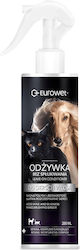 Eurowet Conditioner for Dogs and Cats 200 ml