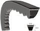 Conti 12.5 1375 Xpa Timing Belt for Peugeot 505 Opel Campo Toyota Land Cruiser 31-1251375C