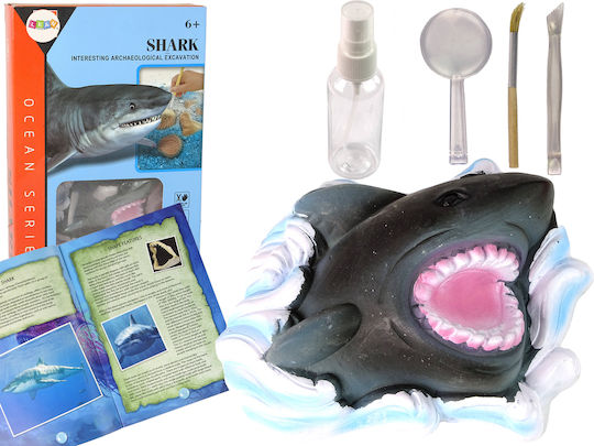 Lean Toys Ammonite Shark Excavation Educational Kit Educational Game Experiments for 6+ years old Years Old