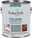 Colorstyle Paint 2250ml 1Stück