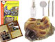 Lean Toys Triceratops Dinosaur Excavation Εκπαιδευτικό Παιχνίδι Ανασκαφή Δεινοσαύρων για 6+ Ετών