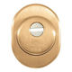 Cisa Defender Lock Armoured Door Bronze