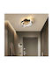 Home Lighting Mount Ceiling Light 21cm Black With Integrated LED