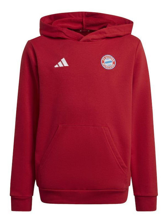 Kids Sweatshirt with Hood and Pockets Red