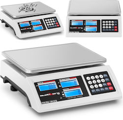 Steinberg Systems Steinberg Systems