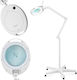 Mobile Cosmetic Magnifying Lamp 5 Dpi 60x Led Glass Diameter 127 Mm