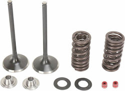 Комплект стоманени клапанни пружини Moose Racing M30-31200 Honda CRF 250 X 04-18 R 04-09 комплект
