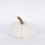 Furry White Pumpkin 15x16cm