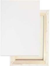 Exas Paper Canvas on Stretcher Frame White 25x30cm 380g/m² 1 Piece