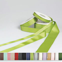 Panglică Grosgrain 2,5cm 23 metri T986/25