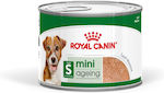 Royal Canin Mini Ageing 8+ Nassfutter Pastete für ältere kleine Hunde über 8 Jahre bis 10kg 195g