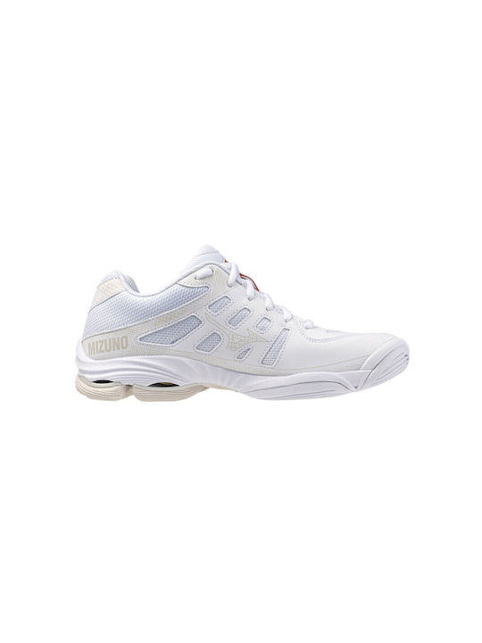 Wave Voltage 2 Sport Shoes Volleyball White / Bronze / Grey