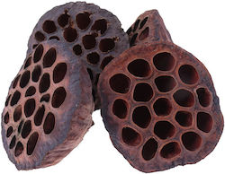 Ceramic Nature Lotus Pods Xxl Ceramic Nature Lotus Pods Xxl