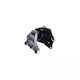 Suport Motor Vw Polo 9n_ 1.9 Tdi 2003-2009 Corteco 80000324