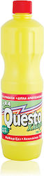 Questo Παχύρρευστη Χλωρίνη 18x750ml