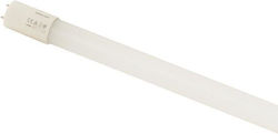Eurolamp LED 16W G5 Φυσικό Λευκό
