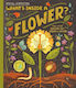 What's Inside A Flower?: And Other Questions About Science And Nature Rachel Ignotofsky Hodder Children's Books 0225