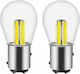 Raistar Autolampen Dipolische S25 LED Weiß 12V 1.5W Menge 2