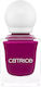 Catrice Cosmetics Glossy Βερνίκι Νυχιών Μακράς Διαρκείας Φούξια 11ml