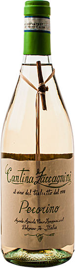 Cantina Zaccagnini Vin Pecorino Alb Șampon uscat 750ml