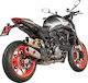 Akrapovic Motorrad-Auspuffschutz Ducati Monster