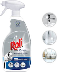 Καθαριστικό Spray Μπάνιο Roli X-pert Professional 600ml Καθαριστικό Spray Μπάνιο Roli X-pert Professional 600ml