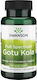 Swanson Gotu Kola 435mg 60 caps
