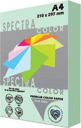 Spectra Color Spectra Color