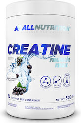 Allnutrition Creatine Muscle Max Aromatisiertes Kreatin 250g Blaubeere