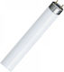 GE Fluorescent Lamp for Socket G13 with Shape T8 58W