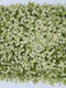 Supergreens Изкуствена панелна листва Бял мъхов косъм 50x50см