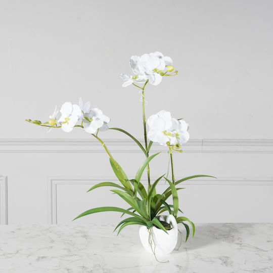 Outdoor Orchid White Supergreens