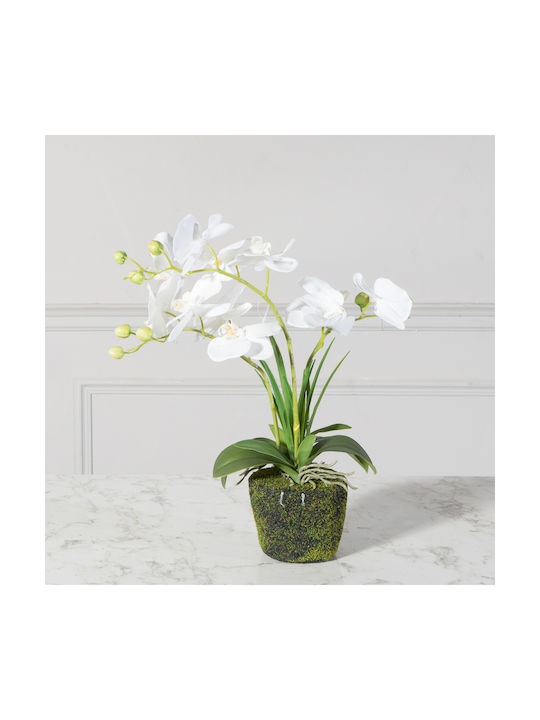 Artificial Plant in Pot Orchid White 42cm Supergreens