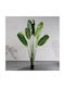 Artificial Outdoor Tree Bird of Paradise Green 250cm Supergreens