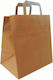 Paper Packaging Bags Brown 28x17x29cm 250pcs