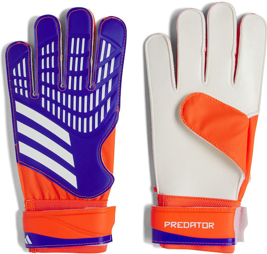 adidas Predator Training Голмански ръкавици за Възрастни Многоцветни