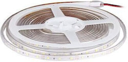 LED Strip RGB Length 5 M Power 40W 3300 Lm IP65 LED Strip RGB Length 5 M Power 40W 3300 Lm IP65