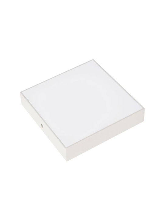 Lustră LED Sofia Pătrată 48W Lumină Rece Albă 300x300 mm 4320 lm Albă