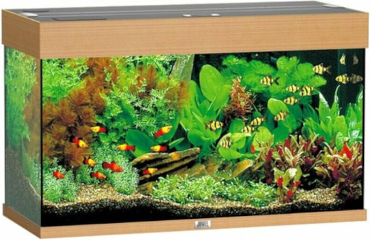 Juwel Rio 125 Led Acvariu de Pești cu Capacitate de 125lt cu Încălzitor, Filtru și 81x36x50cm. Maro