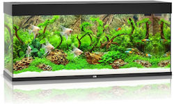 Juwel Rio 240lt