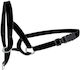 Flamingo Easy Leader Black Xs