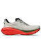 ASICS Novablast 4 Tr Sport Shoes Trail Running Brw