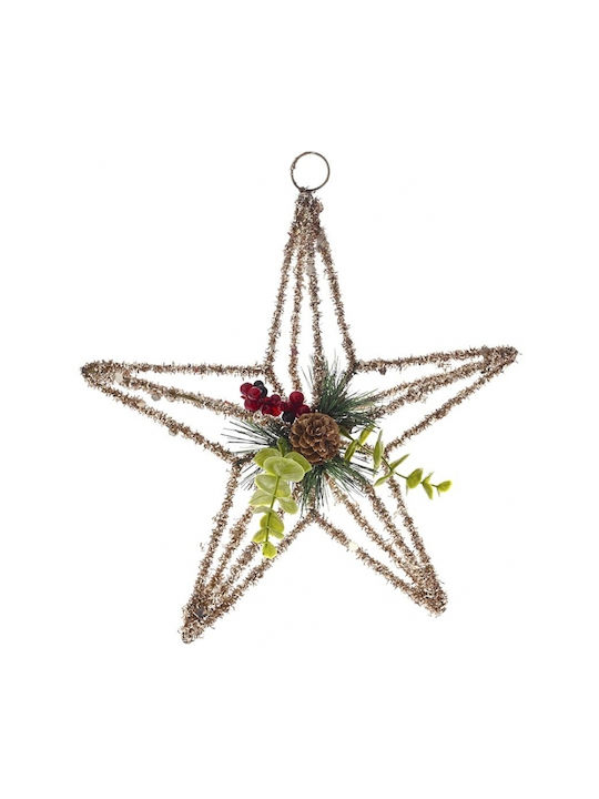 Champagne Hanging Star