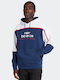 Hooded Blue Sweatshirt