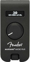 Fender Mustang Combo Fender Mustang Combo