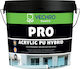 Vechro PRO Acrylic PU HYBRID Plastic Acrilyc Paint for Exterior Use White 3lt