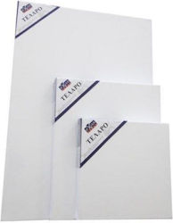 Exas Paper Pânză în Telero Albă 20x30cm 380gr/m² 1 bucată